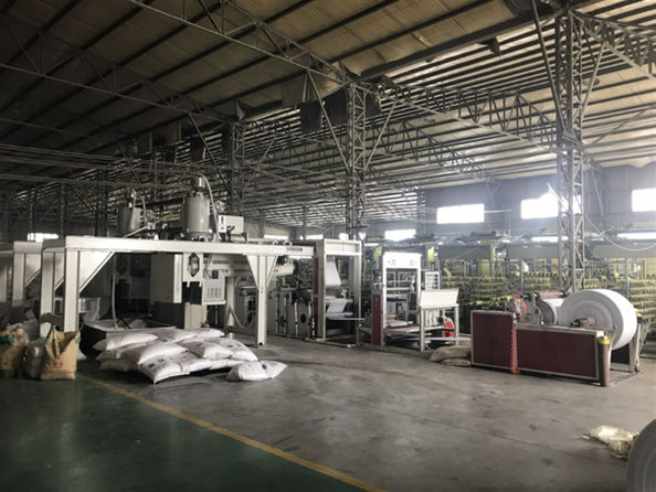 Yiyang Wanlin Weave Packing Co., Ltd. factory production line