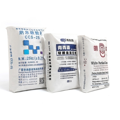 50kg PP Valve Bag for Industrial Chemical Wpp Portland Cement Bag Package