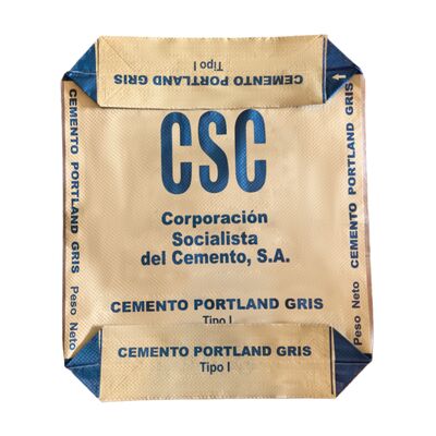 quality  Moisture Proof PP Woven Valve Bag for Heavy Duty 50kg Cement Packaging factory