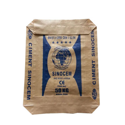 Hot Sale 25KG 40KG 50KG Ad Star Bags PP Block Bottom Bag Cement Valve Bags Cement Sack