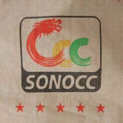 25 KG 40 KG 50 KG PP Woven Bag Empty PP Cement Bag Block Bottom With Valve