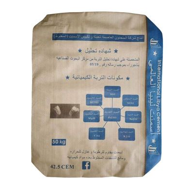 85GSM Plastic Packaging Bag for Cement Building Material 50x64x11cm Advantage ISO9001 2008 Certificate