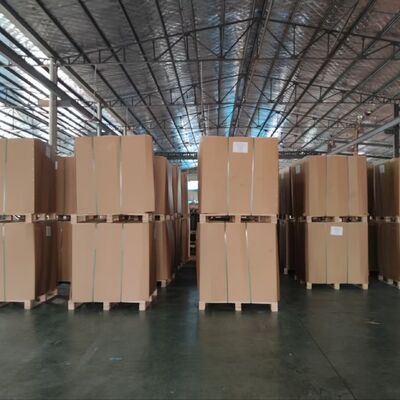 Moisture Proof PP Woven Valve Bag for Heavy Duty 50kg Cement Packaging