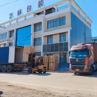 Moisture Proof PP Woven Valve Bag for Heavy Duty 50kg Cement Packaging